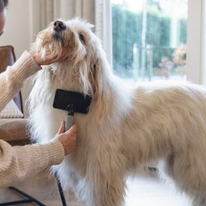 Hond wordt geborsteld met de Beeztees slickerborstel