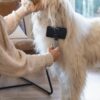 Langharige hond geborsteld met de slickerborstel