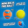 Chuckit! Ultra Ball maat M vergeleken met een tennisbal, ø 6,4 cm