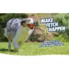 Australian Shepherd apporteert Chuckit! Ultra Ball op het gras
