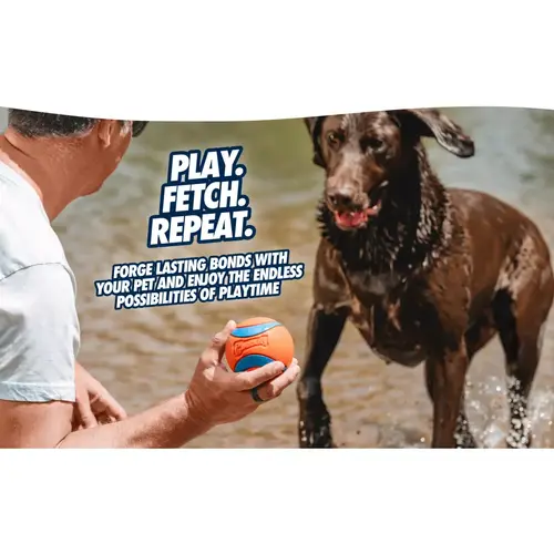 Man biedt Chuckit! Ultra Ball aan natte Labrador bij het water