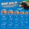 Maatgids Chuckit! Ultra Ball: van S tot XXL per hondenras