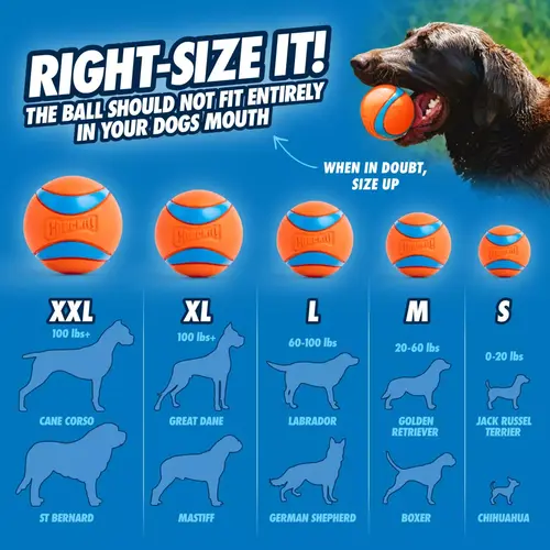 Maatgids Chuckit! Ultra Ball: van S tot XXL per hondenras