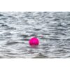 Dog Comets Exoplanet egelbal drijvend op water