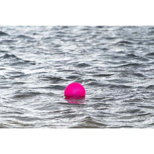 Dog Comets Exoplanet egelbal drijvend op water