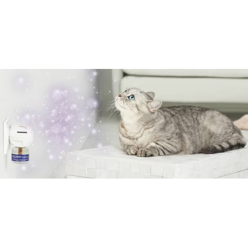 Ontspannen kat in de buurt van een ingeplugde Feliway Optimum verdamper