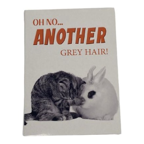 Grappige kaart met katje dat tegen een wit konijntje aan kruipt, tekst Oh no... Another grey hair