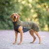 Hond in de olijfgroene PolarPomppa met slanke pasvorm zonder beenelastieken
