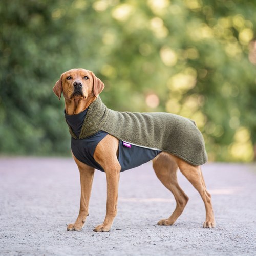 Hond in de olijfgroene PolarPomppa met slanke pasvorm zonder beenelastieken