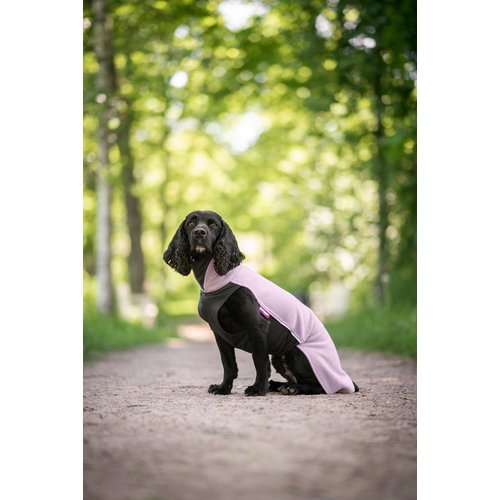 Zwarte cocker spaniel draagt Pomppa JumppaPomppa in kleur Elderberry, zittend op bospad
