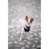 Fox terrier draagt Pomppa JumppaPomppa fleece trui in kleur Elderberry, staand op kasseien