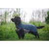 Zwarte cocker spaniel draagt Pomppa JumppaPomppa fleece trui in kleur Midnight, staand in gras bij water
