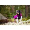 Collie puppy draagt Pomppa JumppaPomppa fleece trui in kleur Plum, staand in Scandinavisch bos met mos
