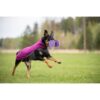 Hond apporteert met houten halter en draagt Pomppa JumppaPomppa in kleur Plum, actieshot op grasveld
