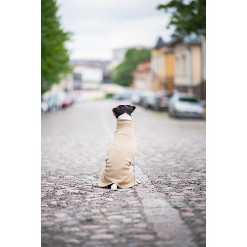 Kleine hond draagt Pomppa JumppaPomppa in kleur Sand, rugaanzicht zittend op keienstraatje in stad
