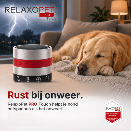 Hond slaapt rustig op de bank tijdens onweer met de RelaxoPet PRO Touch ernaast