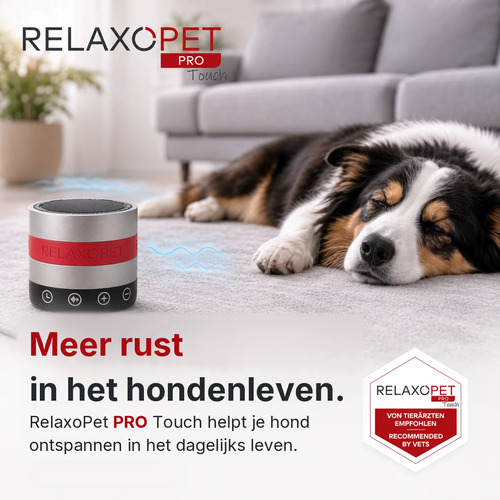 Hond ligt ontspannen op het tapijt naast de RelaxoPet PRO Touch