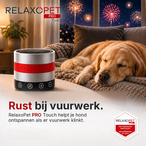 Hond ligt ontspannen te slapen terwijl buiten het vuurwerk klinkt