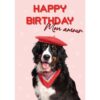 Berner Sennenhond in rode baret en sjaal op roze achtergrond met hartjes – A5 verjaardagskaart