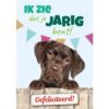 A5 Verjaardagskaart Hond "Ik Zie Dat Je Jarig Bent!" – Labrador