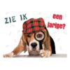 A5 Verjaardagskaart Hond "Zie Ik Een Jarige?" – Beagle Detektive