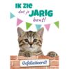 Kitten kijkt over bakstenen muurtje met slingers op achtergrond – A5 verjaardagskaart kat