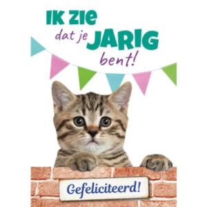 Kitten kijkt over bakstenen muurtje met slingers op achtergrond – A5 verjaardagskaart kat