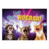 A5 Verjaardagskaart Katten "Hiep Hiep Hoeraa!" – Feestkaart