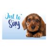 Schattige teckel puppy op lichtblauwe achtergrond – A5 wenskaart hond just to say