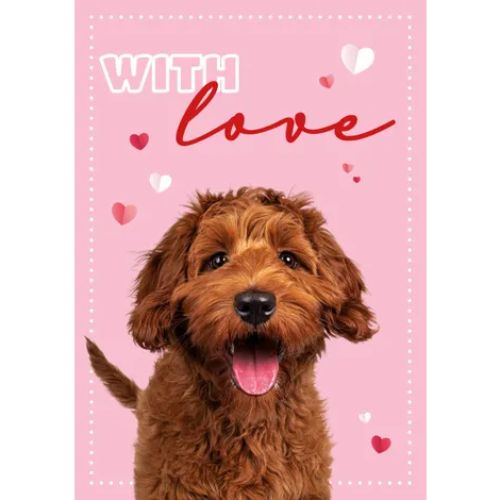 Roodbruine goldendoodle puppy met hartjes op roze achtergrond – A5 wenskaart hond