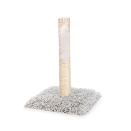 Kitten Krabpaal Atila