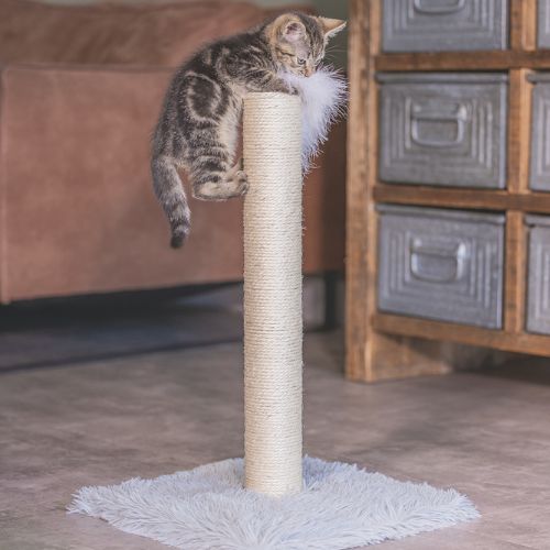 Kitten Krabpaal Atila