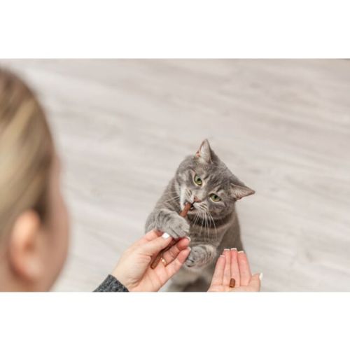 Premio Sticks met Zalm en Forel