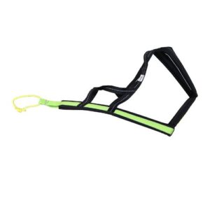 Harness Scandinavia