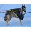 Harness Scandinavia