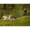 Harness Scandinavia
