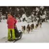 Harness Scandinavia