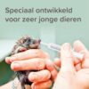 Jonge egel wordt met een Beaphar Lactol voederspuit druppelsgewijs gevoerd