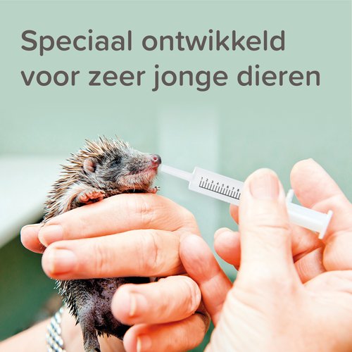 Jonge egel wordt met een Beaphar Lactol voederspuit druppelsgewijs gevoerd