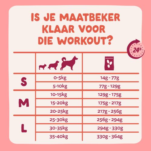 E&C Senior Hond