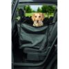Golden Retriever zittend achter neergeklapt zijstuk van auto-beschermdeken, helft achterbank in gebruik