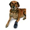 Walker Care pootbeschermer alle maten S t/m XXXL - zwarte pootsok hond productfoto