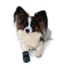 Walker Care pootbeschermer hond maat S en M - zwarte pootsok bij verwondingen