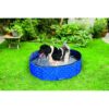 Hond in Beeztees Doggy Dip zwembad in de tuin voor verkoeling