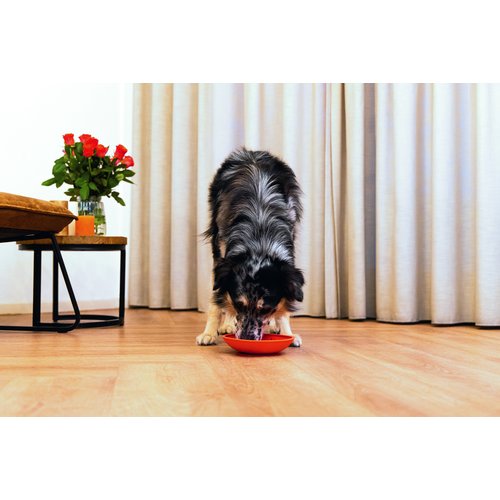 Hond likt van Beeztees Likmat Schotel rood
