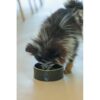 Designed by Lotte Jace eetbak keramiek zwart sfeerbeeld interieur