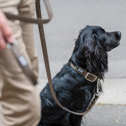 DOG Copenhagen Urban Classic hondenhalsband – zwarte Cocker Spaniel zit naast eigenaar op straat, zandkleurige halsband (Desert Dune)