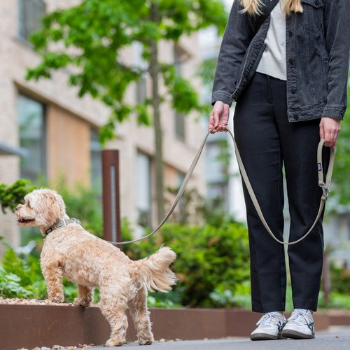 DOG Copenhagen Urban Classic hondenlijn – vrouw loopt kleine hond aan lijn in stedelijke omgeving