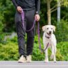 DOG Copenhagen Urban Classic hondenlijn paars – man loopt witte Labrador aan lijn in park
