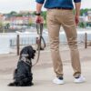 DOG Copenhagen Urban Classic hondenlijn desert dune – man staat met zwarte Spaniel aan lijn op kade bij haven